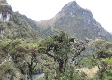 Imagen Cerros Samama, Guineales y Mum